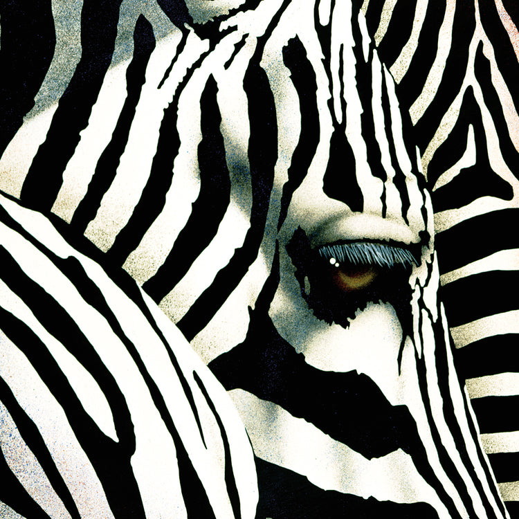 Do Zebras Dream in Color