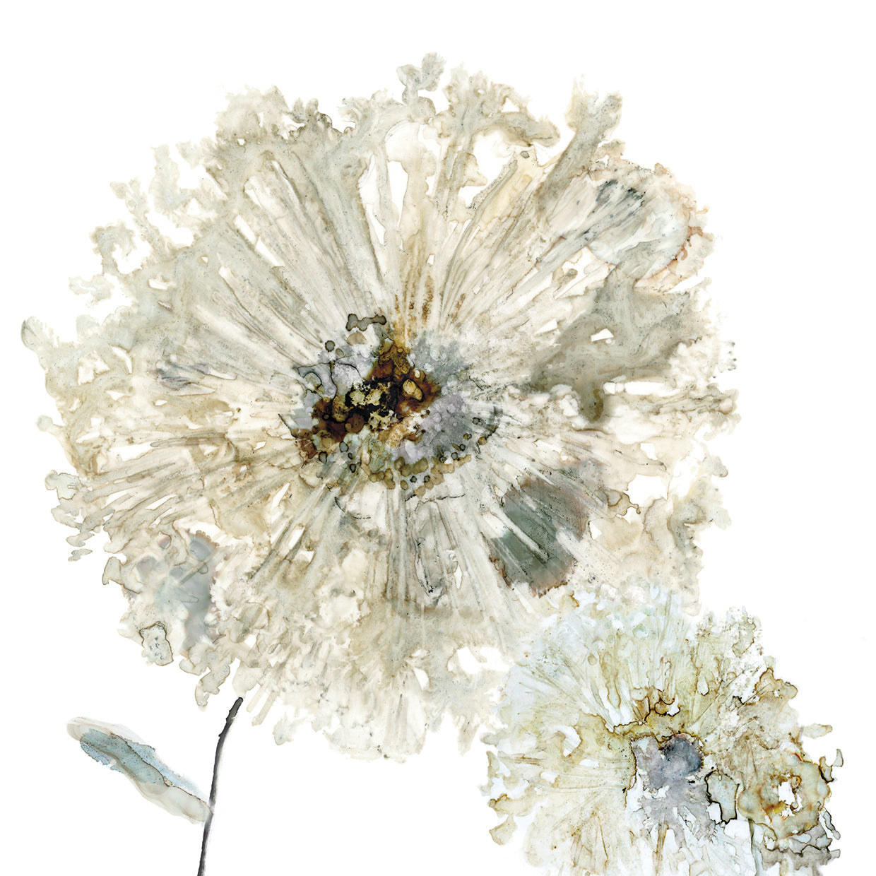 Ivory Spring II by Carol Robinson - museum quality wall art work on large canvas & framed canvas prints