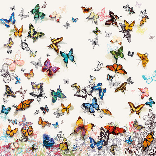 Papillon Canvas Prints