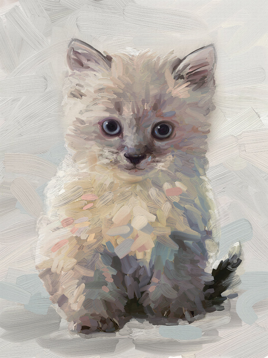 Pretty Kitty I