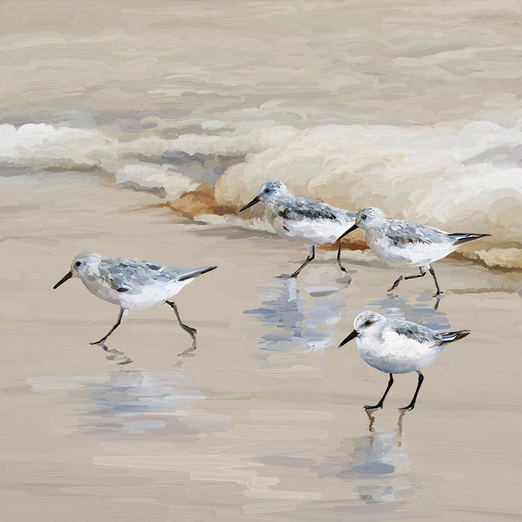 Sandpiper Beach I Amber by Studio Arts is a beautiful beach-inspired seabird painting printed on canvas or framed canvas