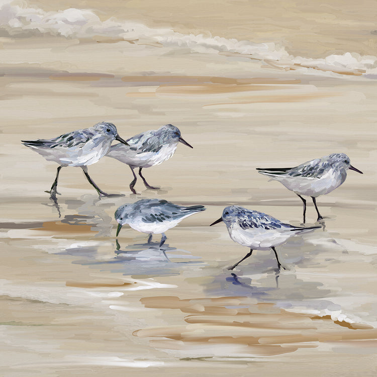Sandpiper Beach II Amber by Studio Arts is  beautiful beach-inspired seabird painting printed on canvas or framed canvas