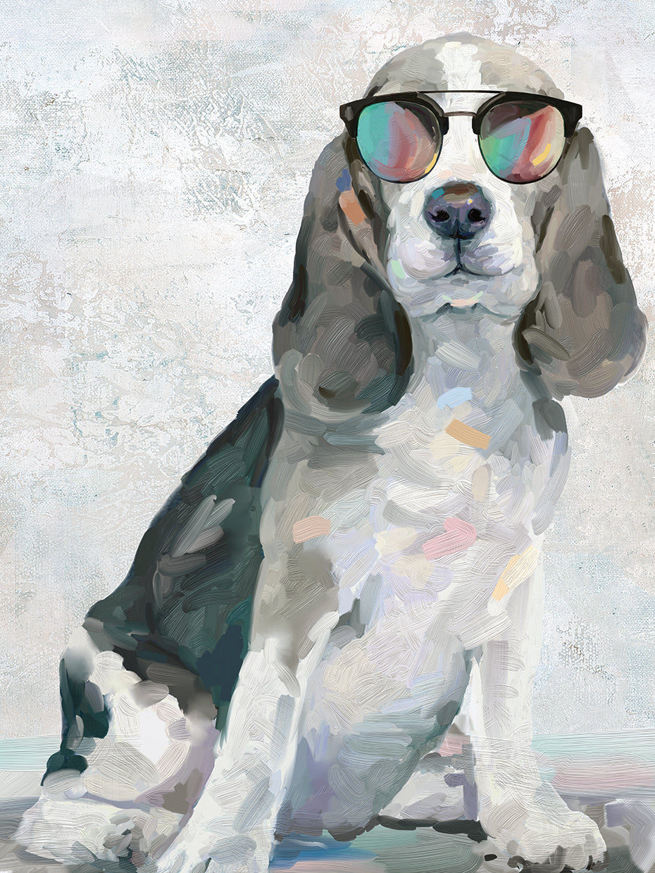 Shady Pups IV