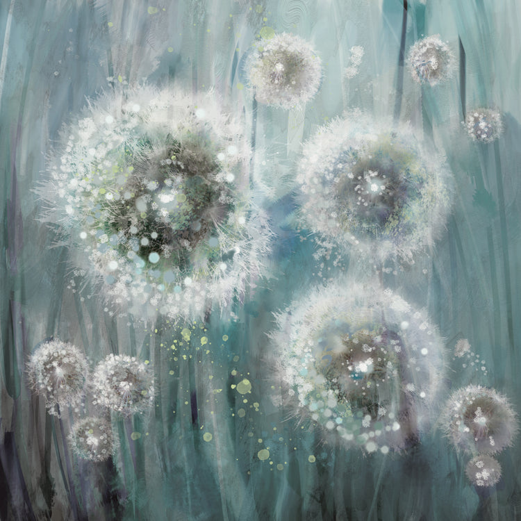 Dandelion Dream