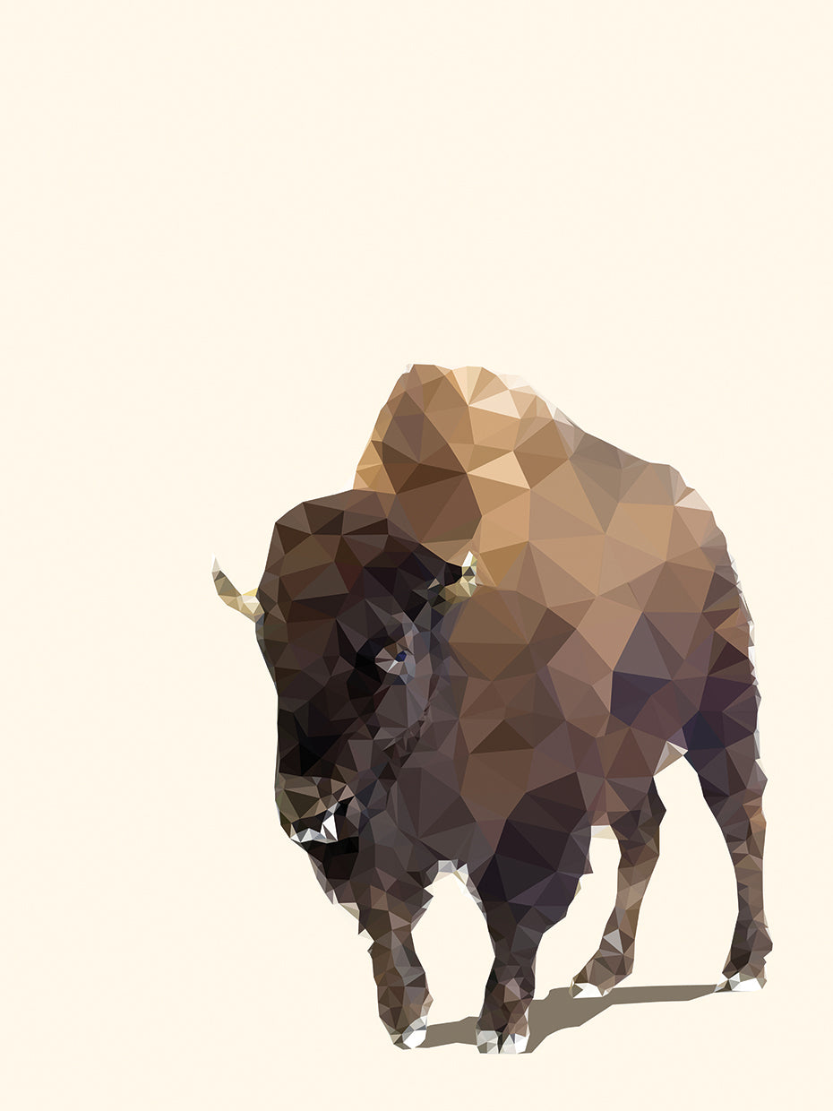 Fractal Bison Ivory