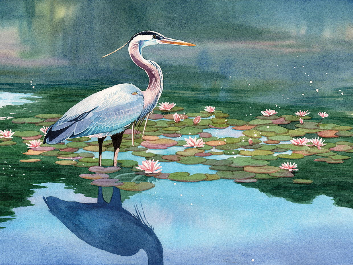Lakeside Heron 1