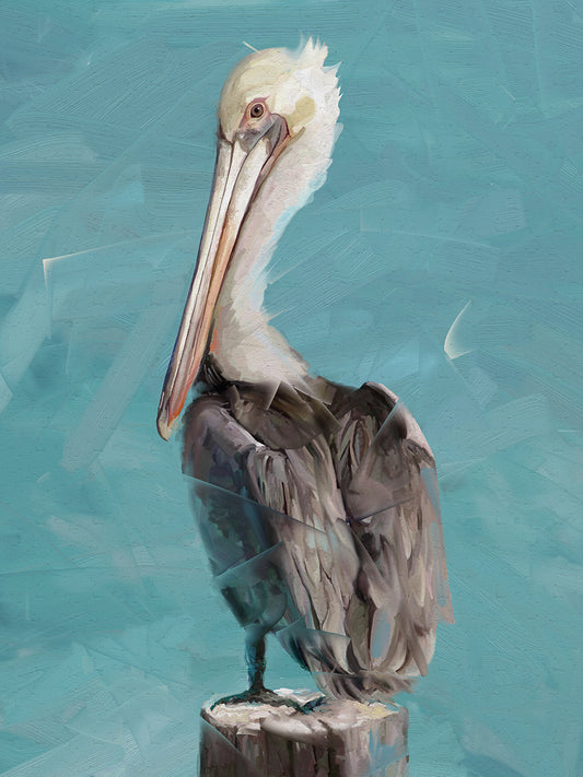 Pelican Perch II Canvas Prints