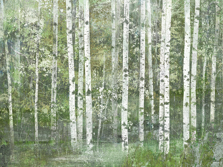 Birch Trees by Willowbrook Fine Art is a painterly and colorful landscape painting printed on canvas or framed canvas