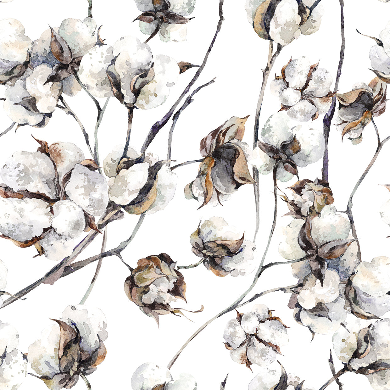Cotton Blossoms
