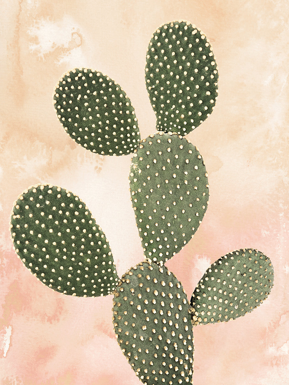 Desert Wash Coral I