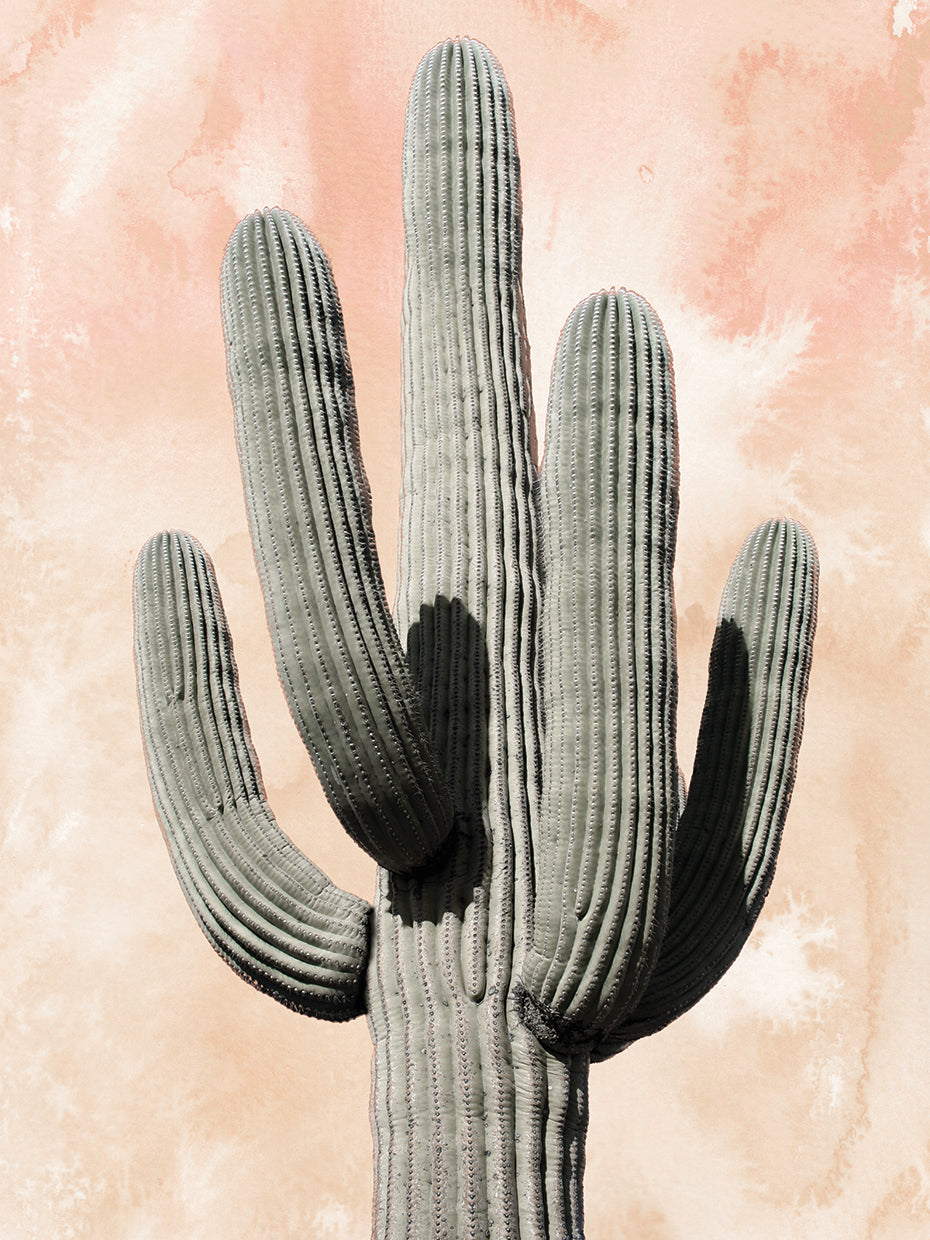 Desert Wash Coral II