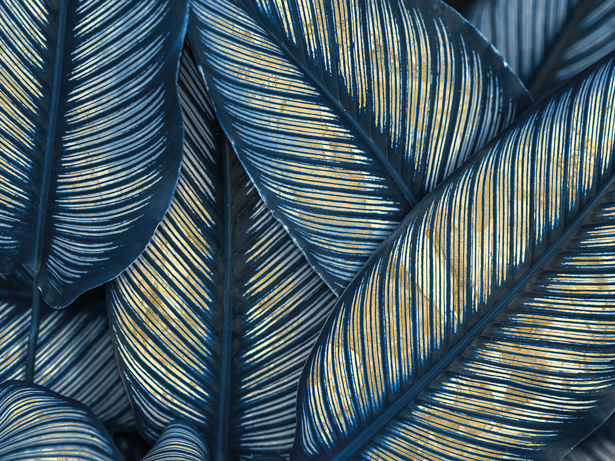 Indigo & Gold Tropics