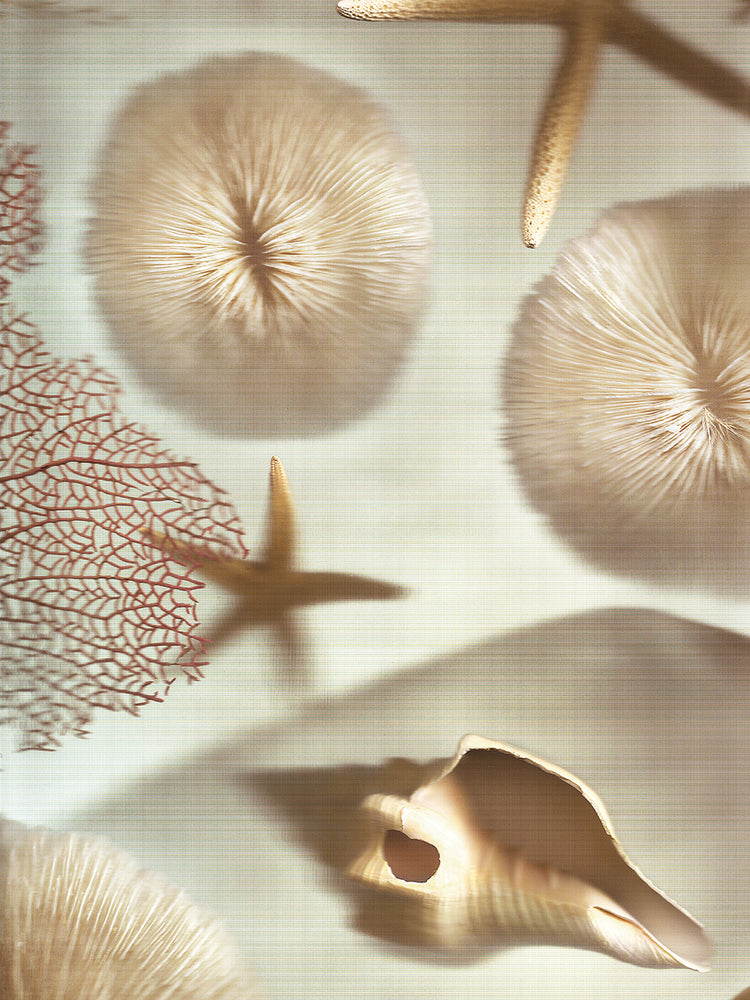 Nautical Illuminations No. 1