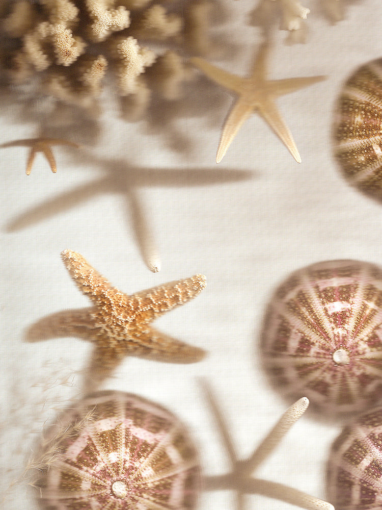 Nautical Illuminations No. 3