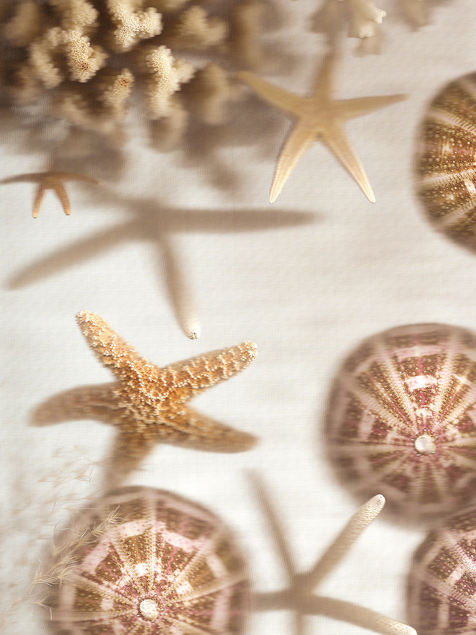 Nautical Illuminations No. 3