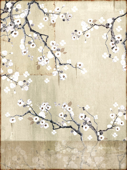 Simple Cherry Blossom Canvas Prints