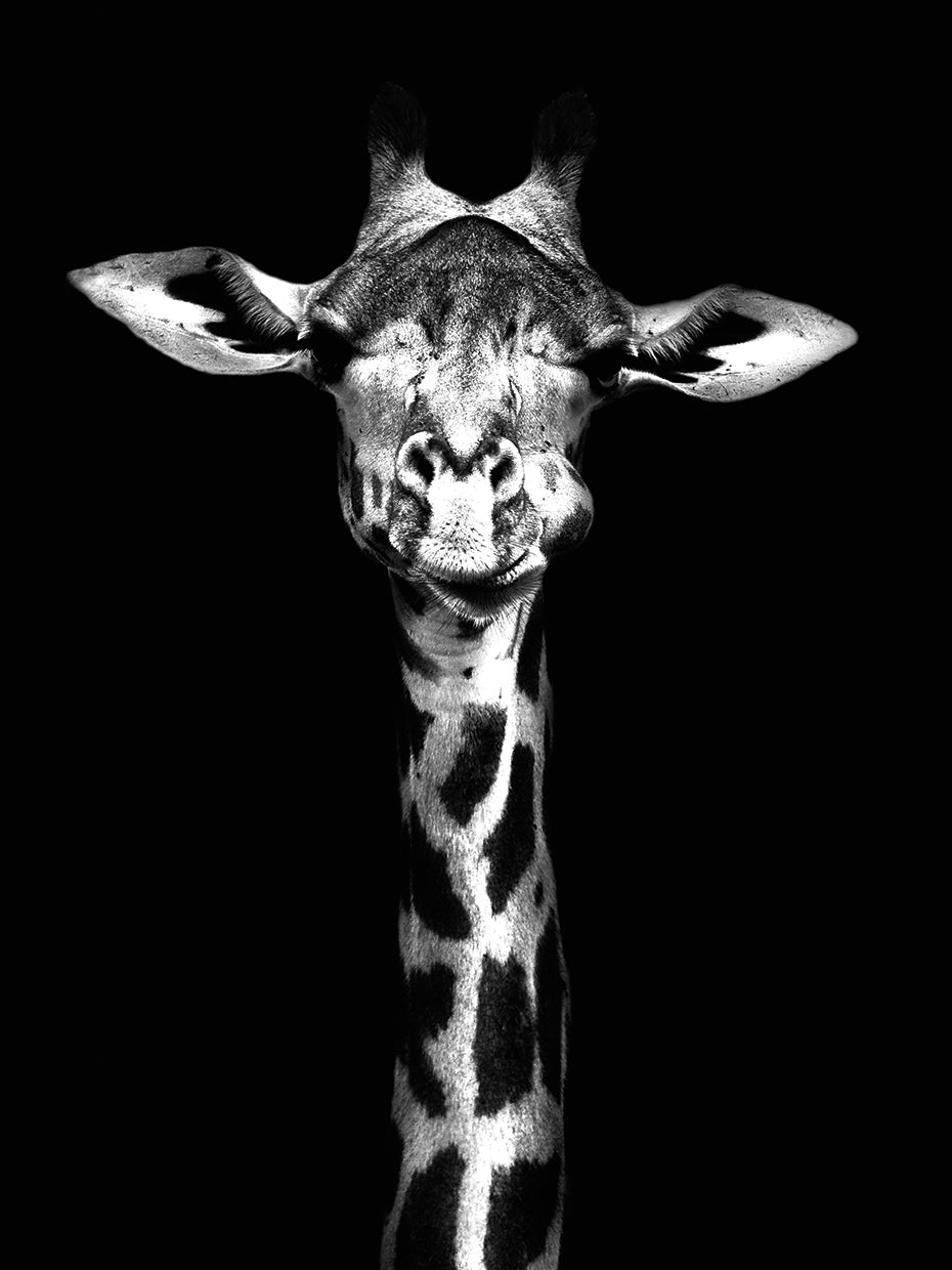 Standing Tall