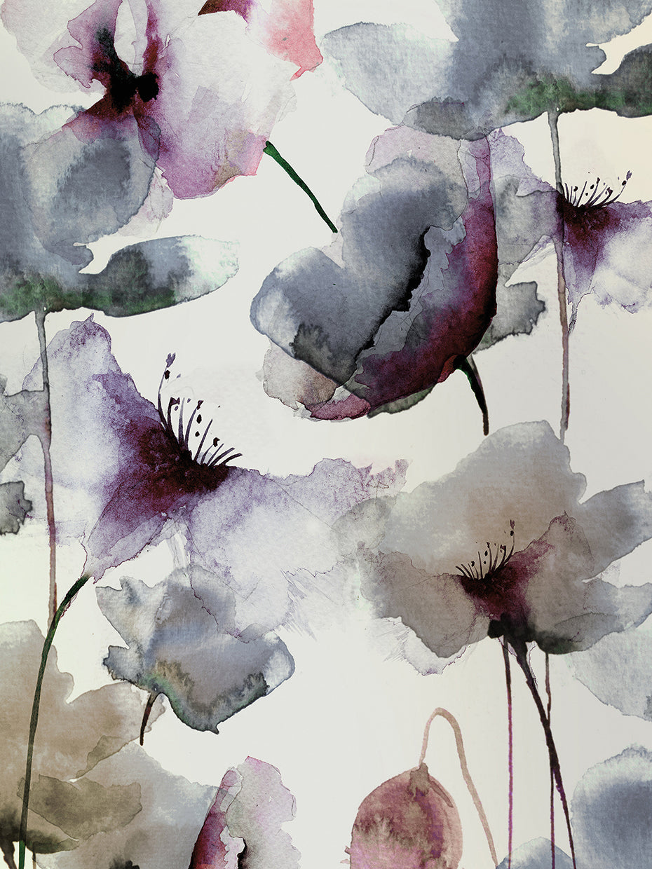 Transparencies