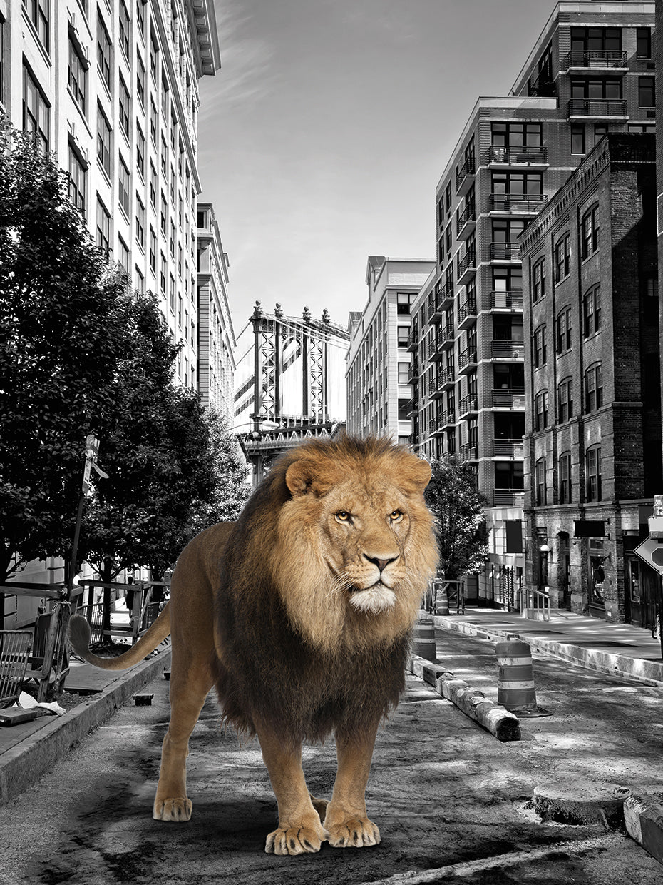 Urban Jungle I