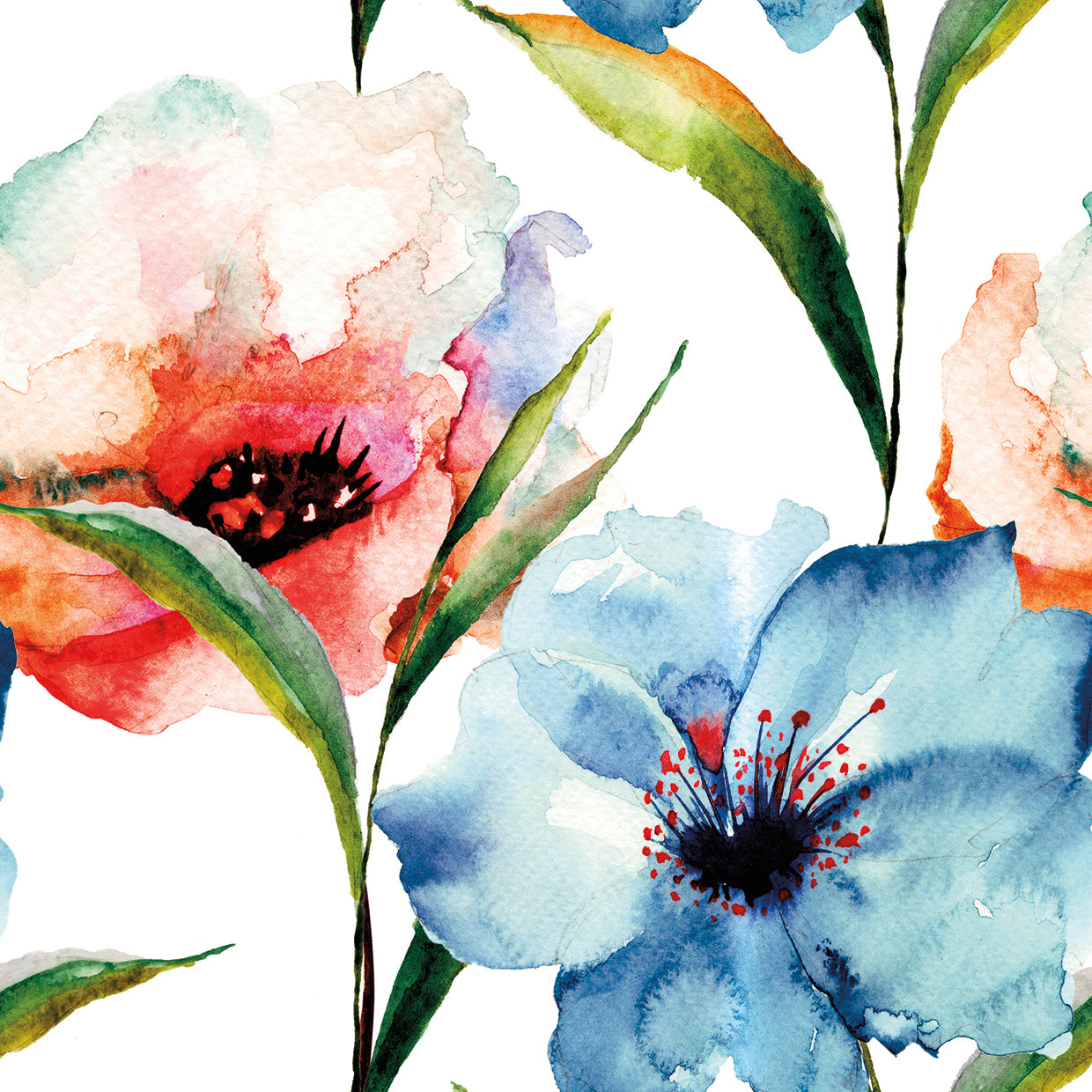 Watercolor Dream