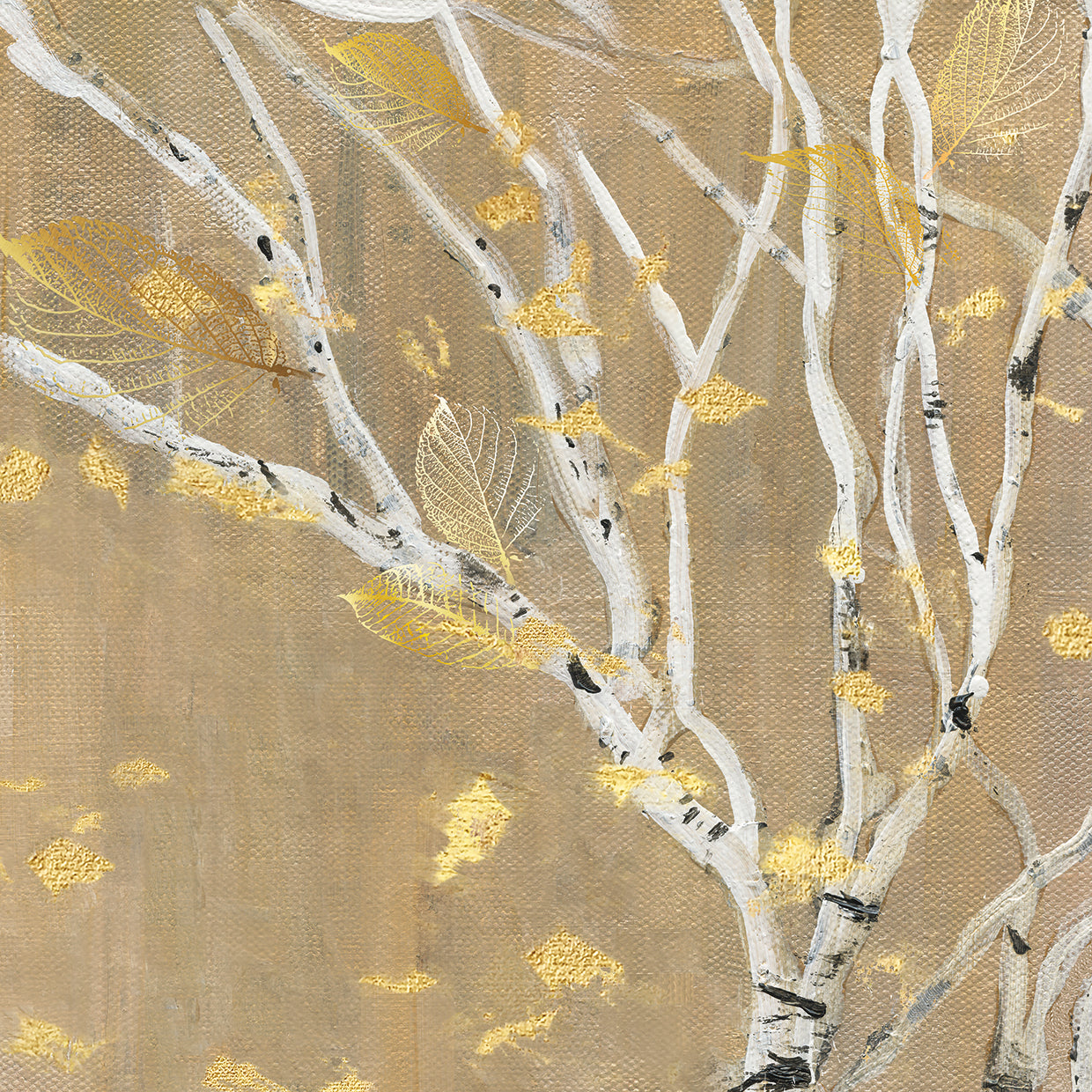 Birch Wood III