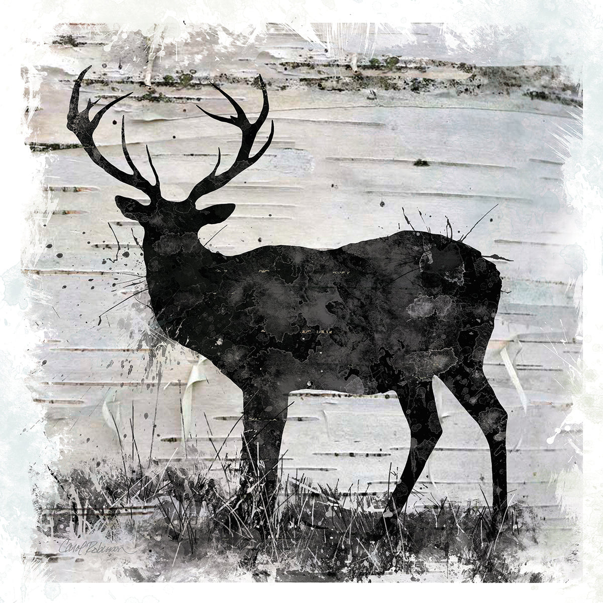 Birchbark Deer by Carol Robinson - top quality wall art work on large canvas & framed canvas prints