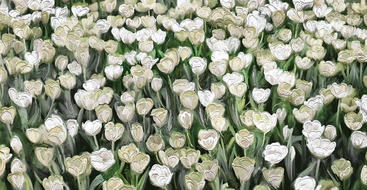 Champ de Tulipes