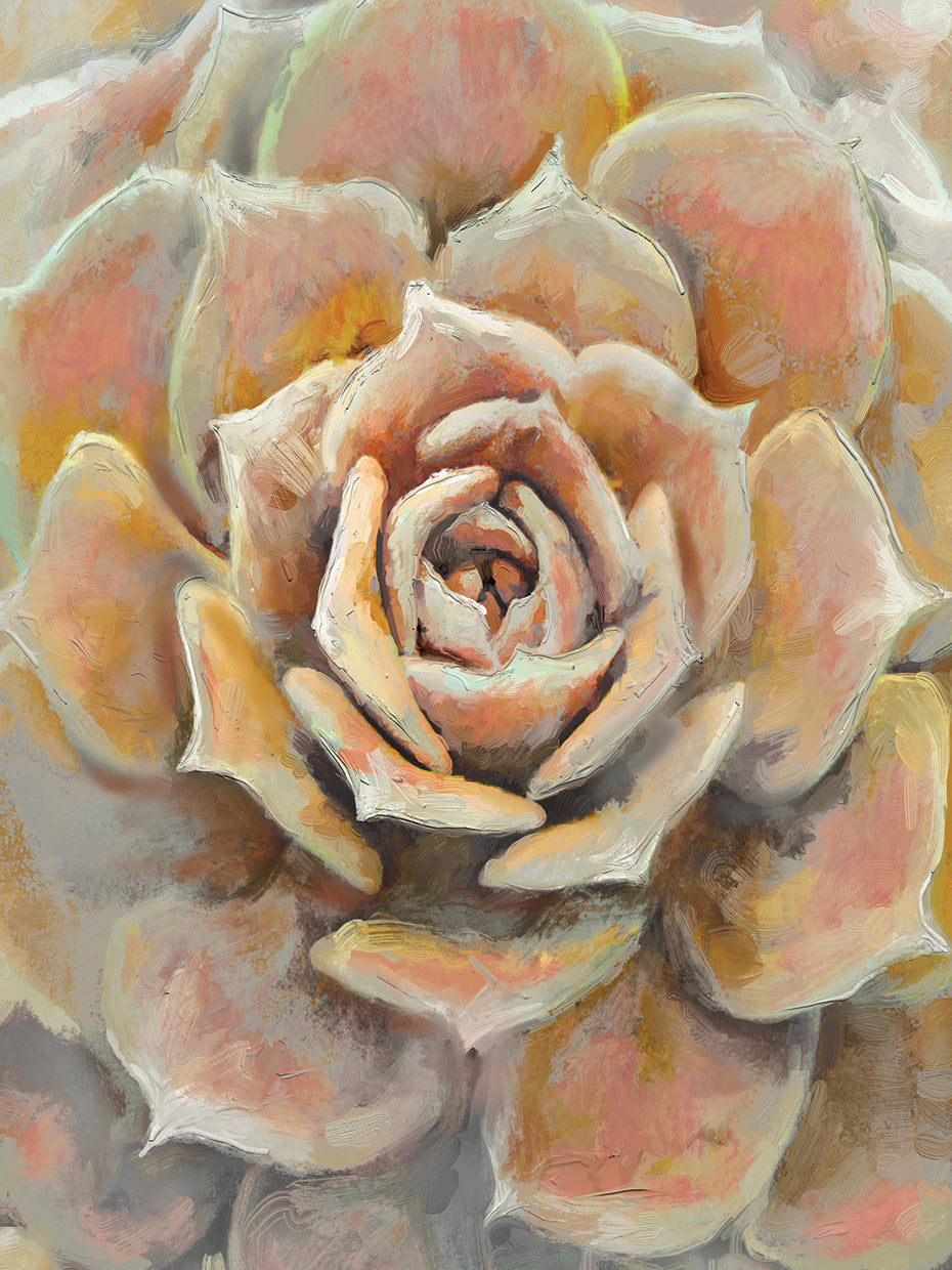 Desert Bloom