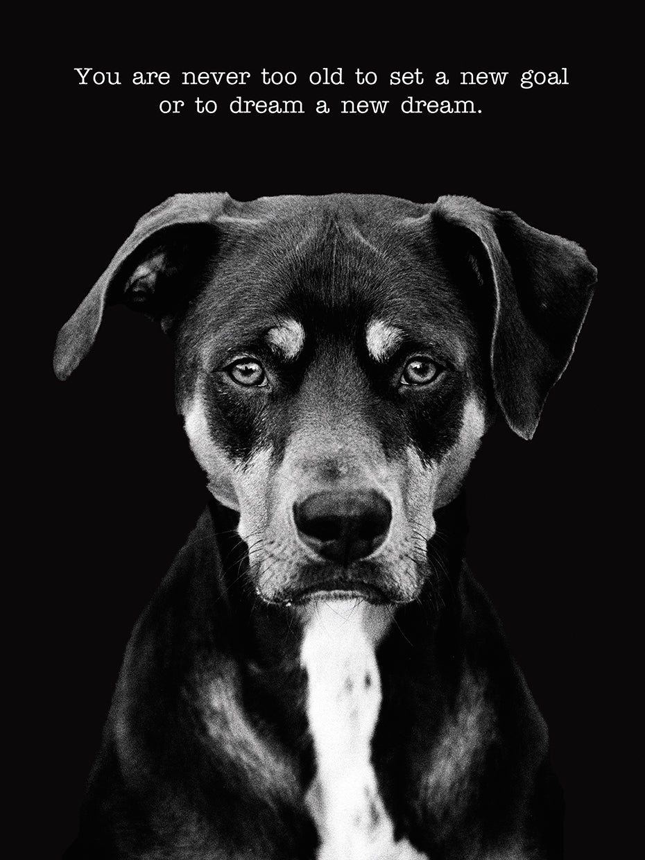 Dexter with Text