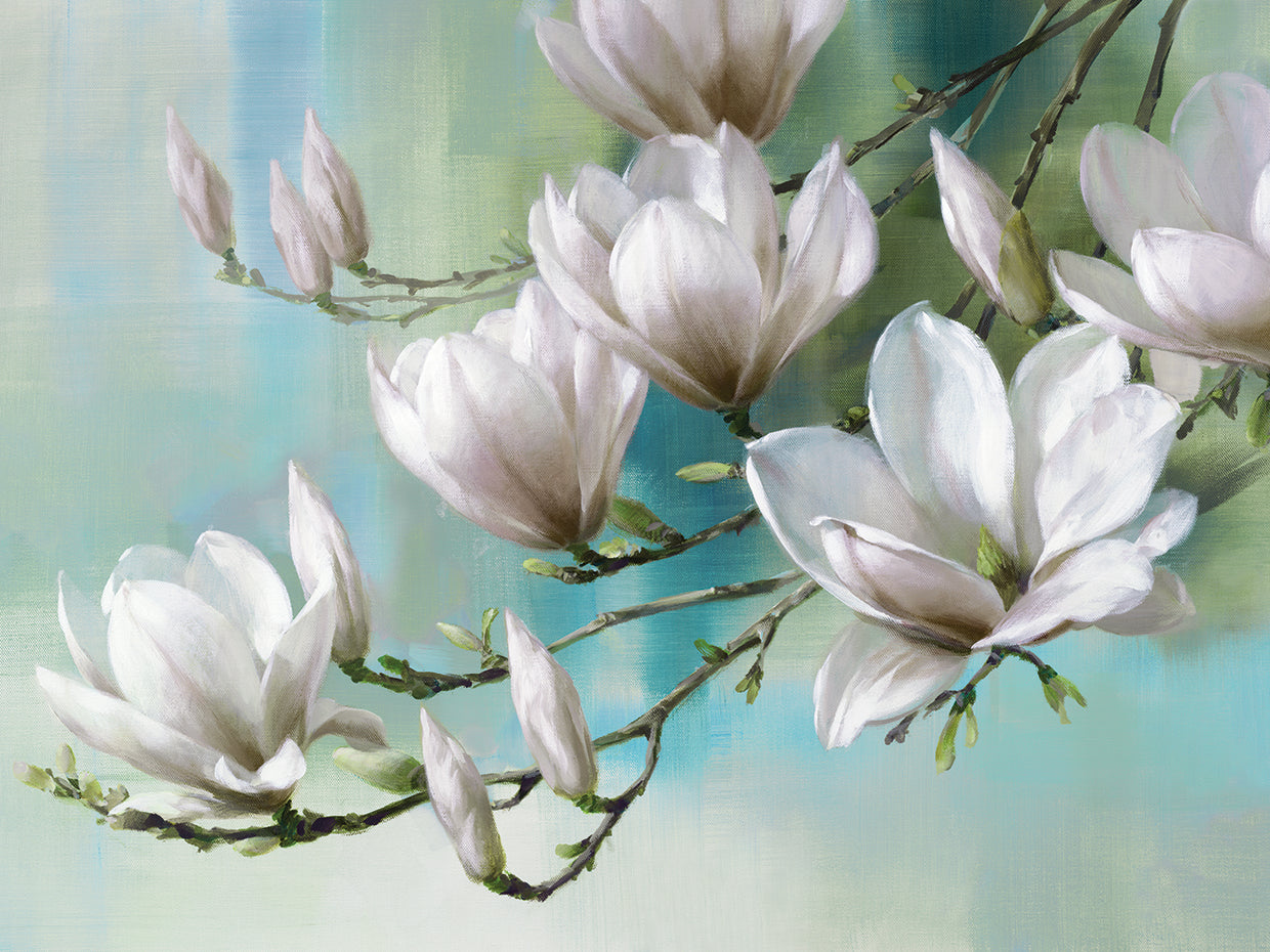 Magnolia Morning Teal