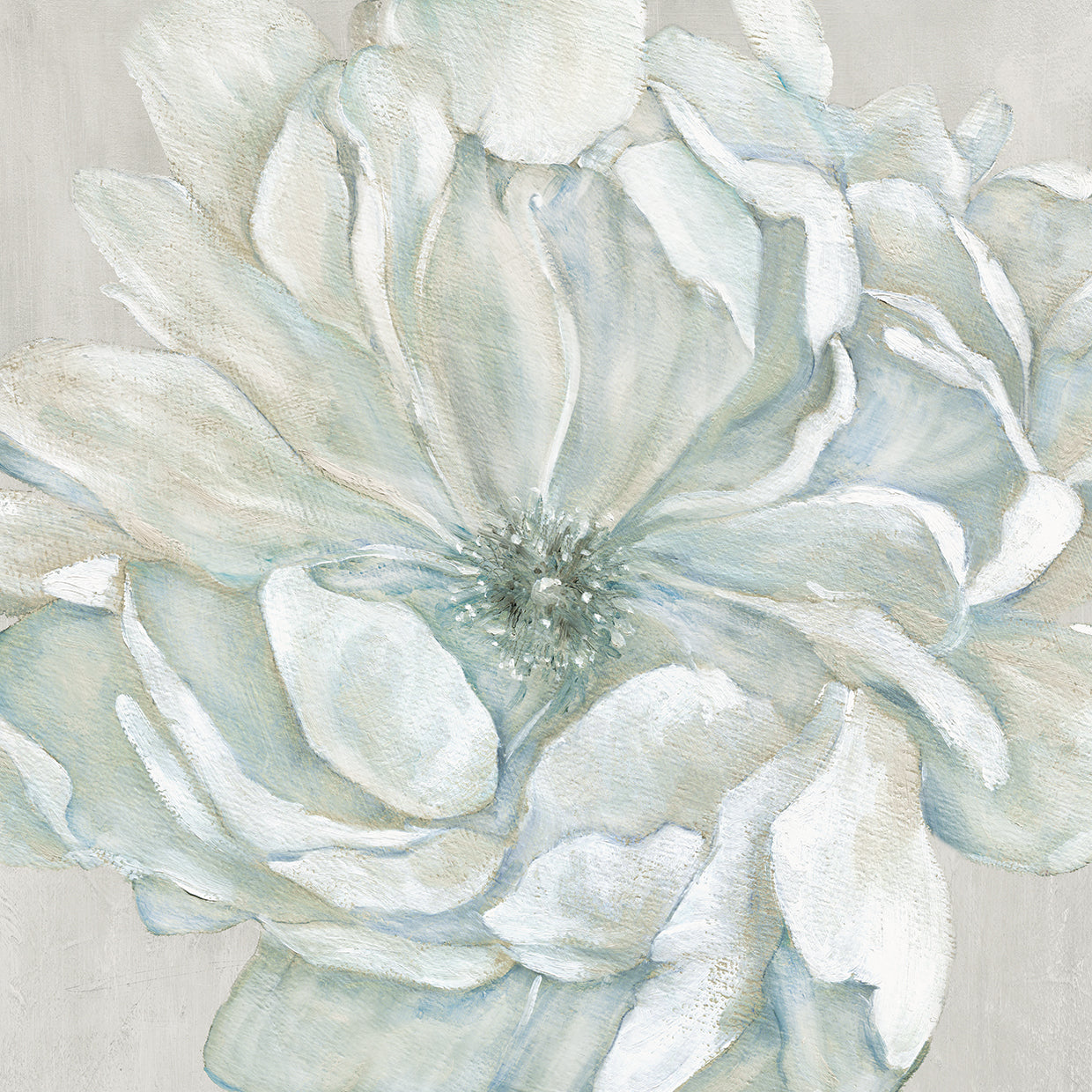 Morning Petals I Square by Carol Robinson - handcrafted wall art work on large canvas & framed canvas prints, made to order