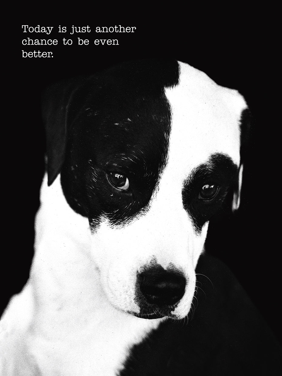 Petey with Text