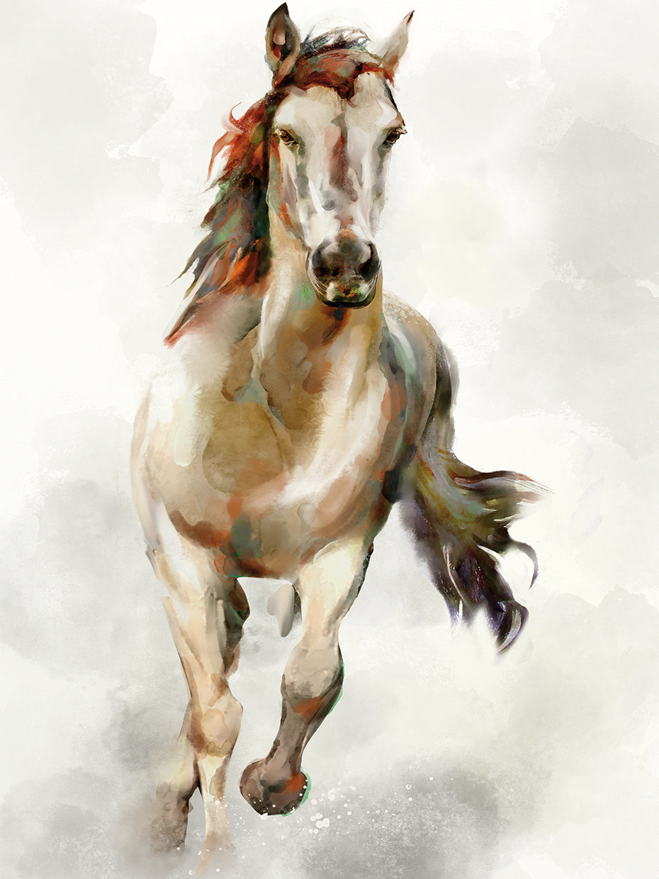 Spirit