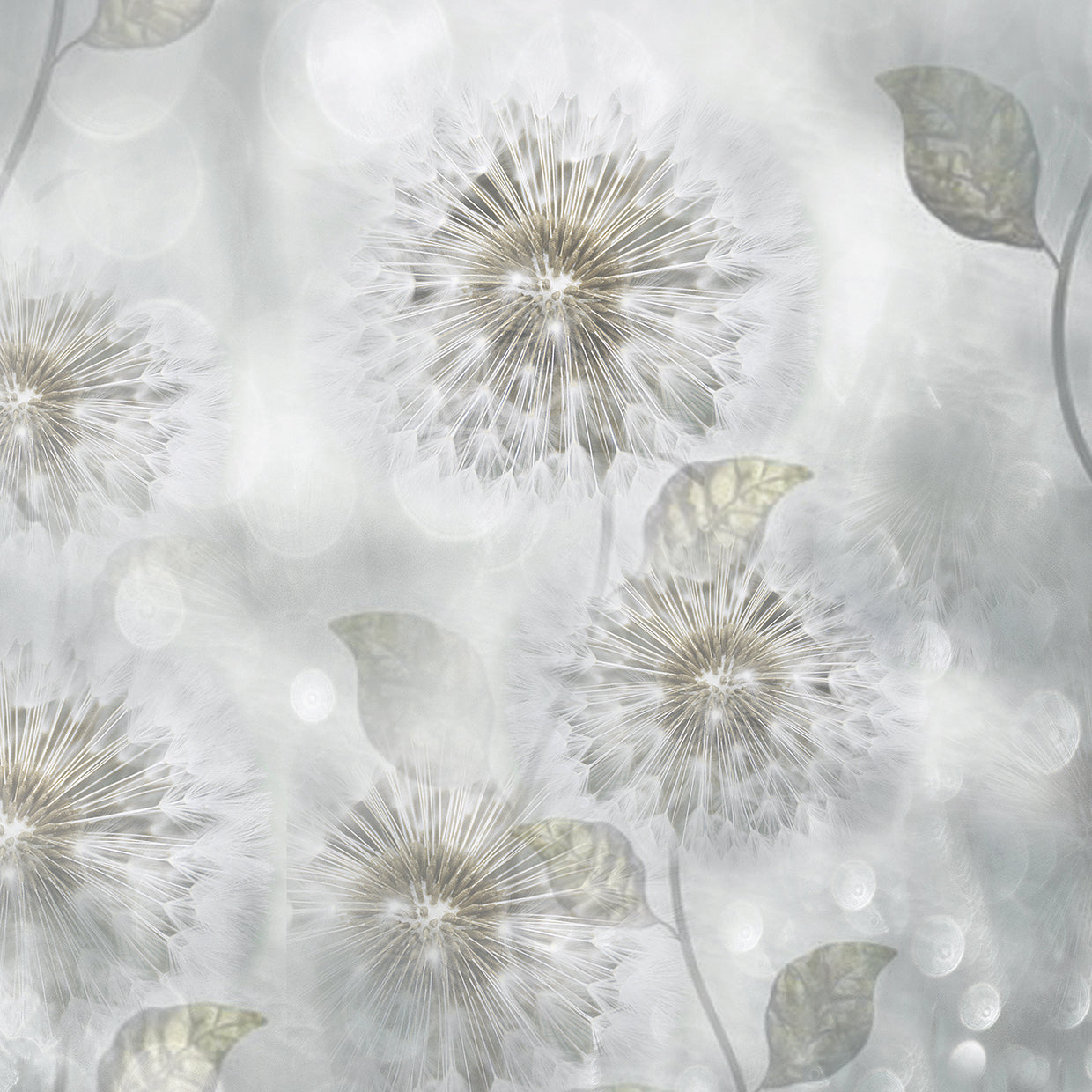 Blowing Wishes II
