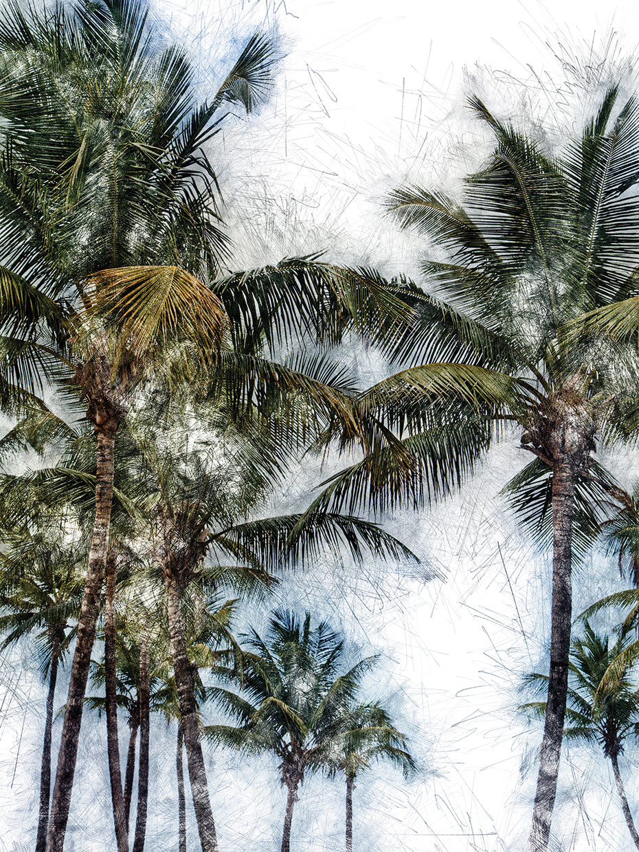 Dorado Palms 2