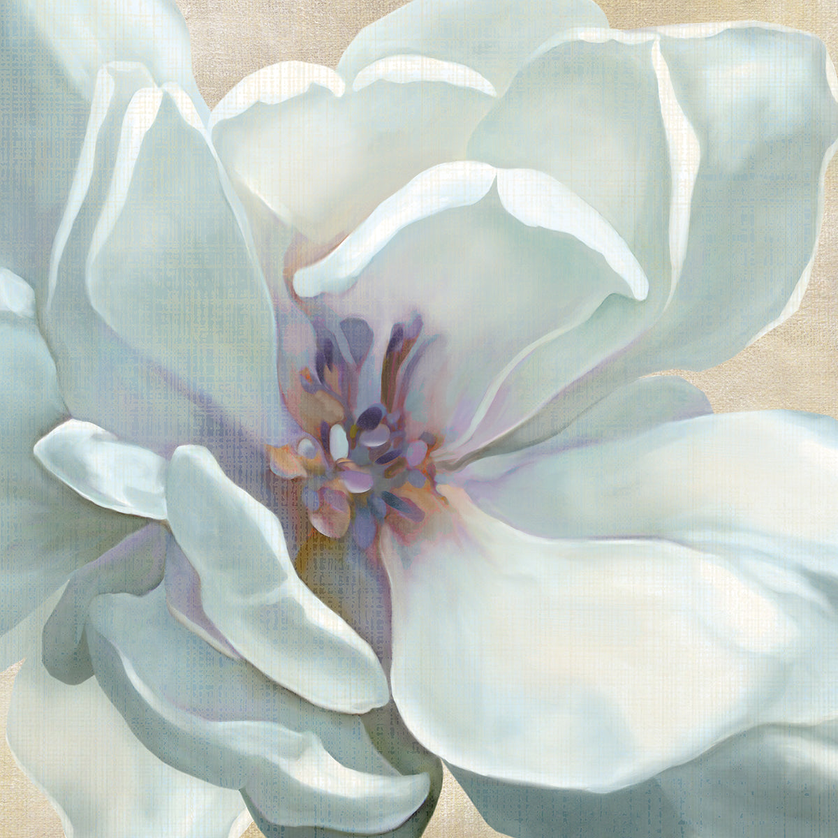 Iridescent Bloom I by Carol Robinson - handcrafted wall art work on large canvas & framed canvas prints, made to order
