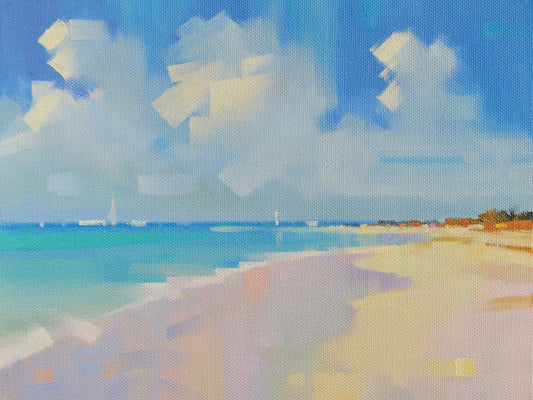 Playa 8 Canvas Prints