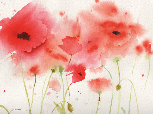 Red Poppies Canvas Art