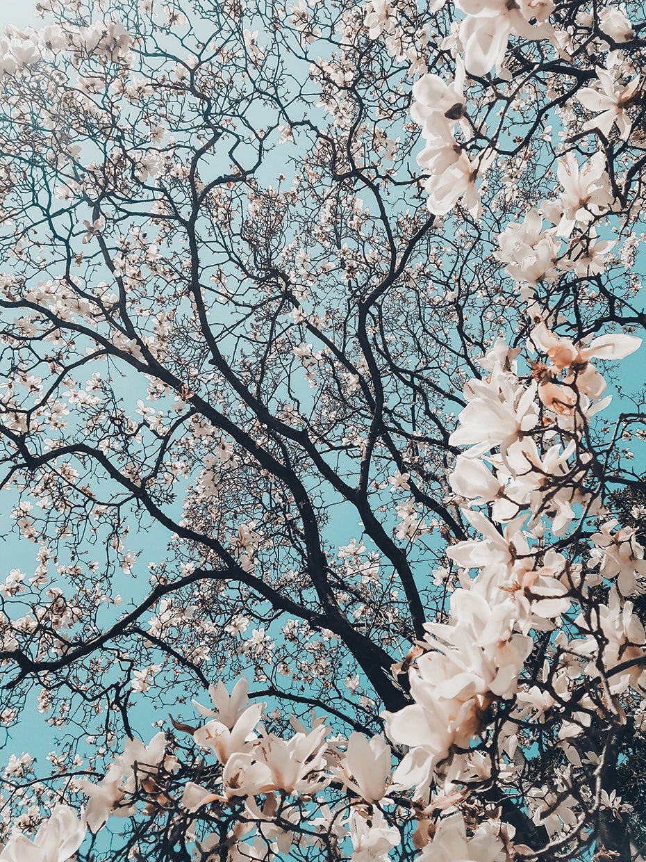 Signs of Spring