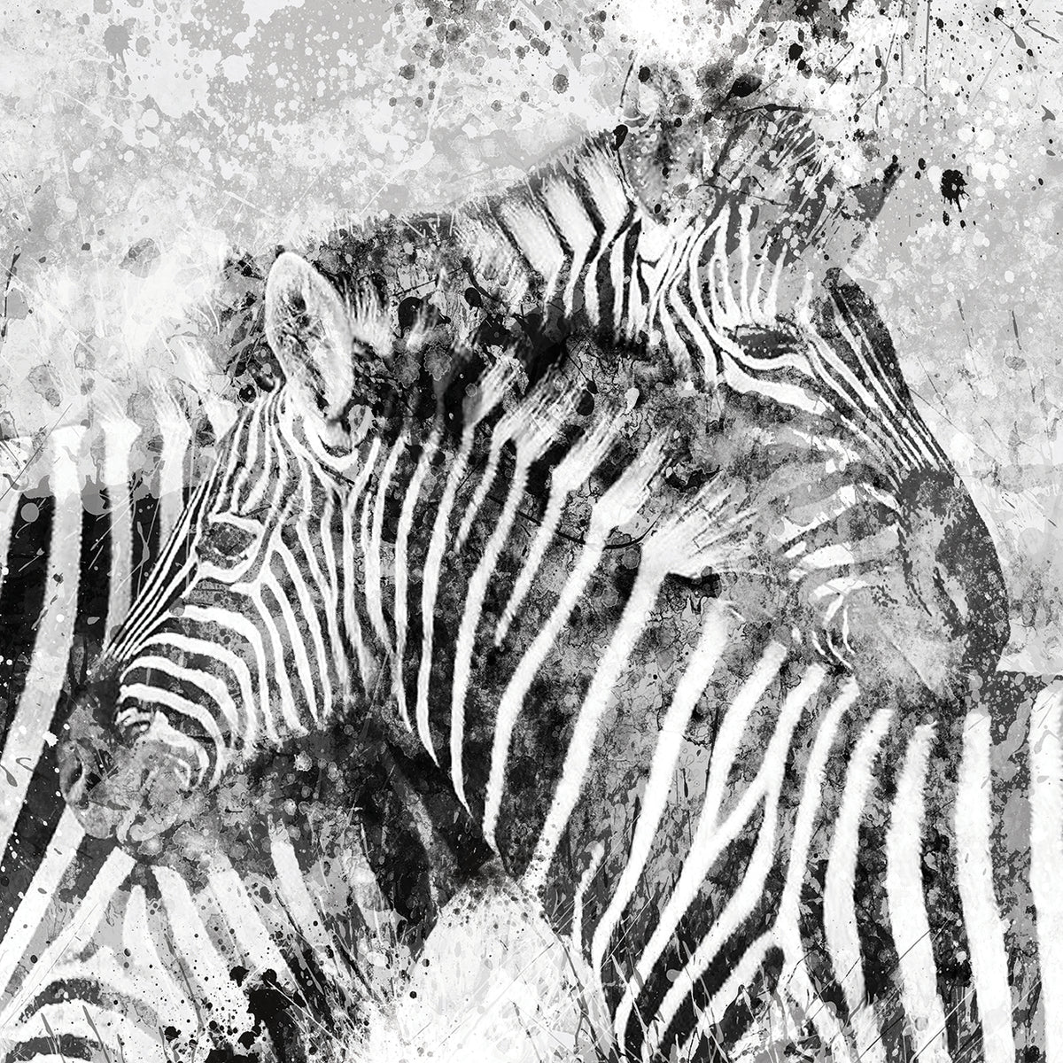 Zebra Pair by Carol Robinson - best quality handcrafted wall art work on large canvas & framed canvas prints