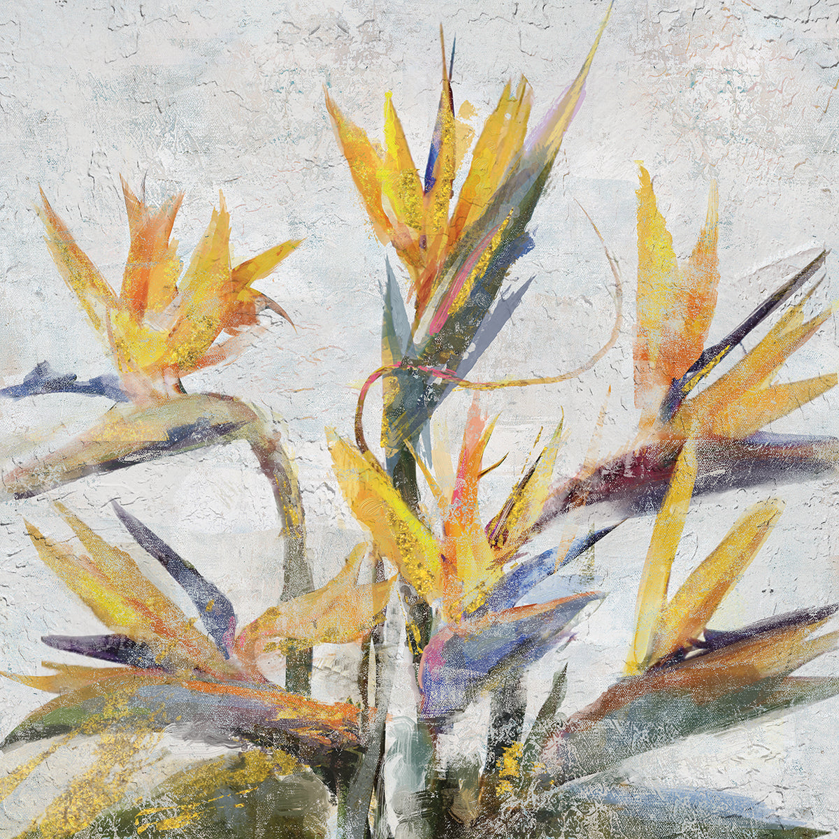 Bird of Paradise