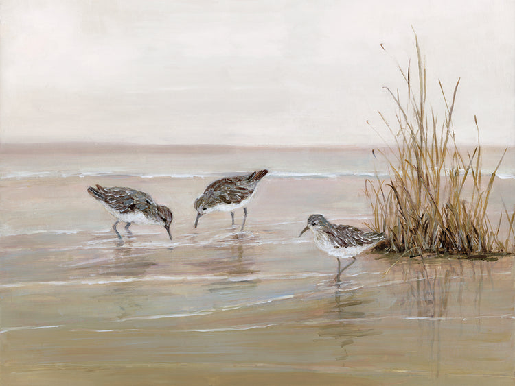 Early Risers II by Sally Swatland - lowest price wall art work on large canvas & framed canvas prints