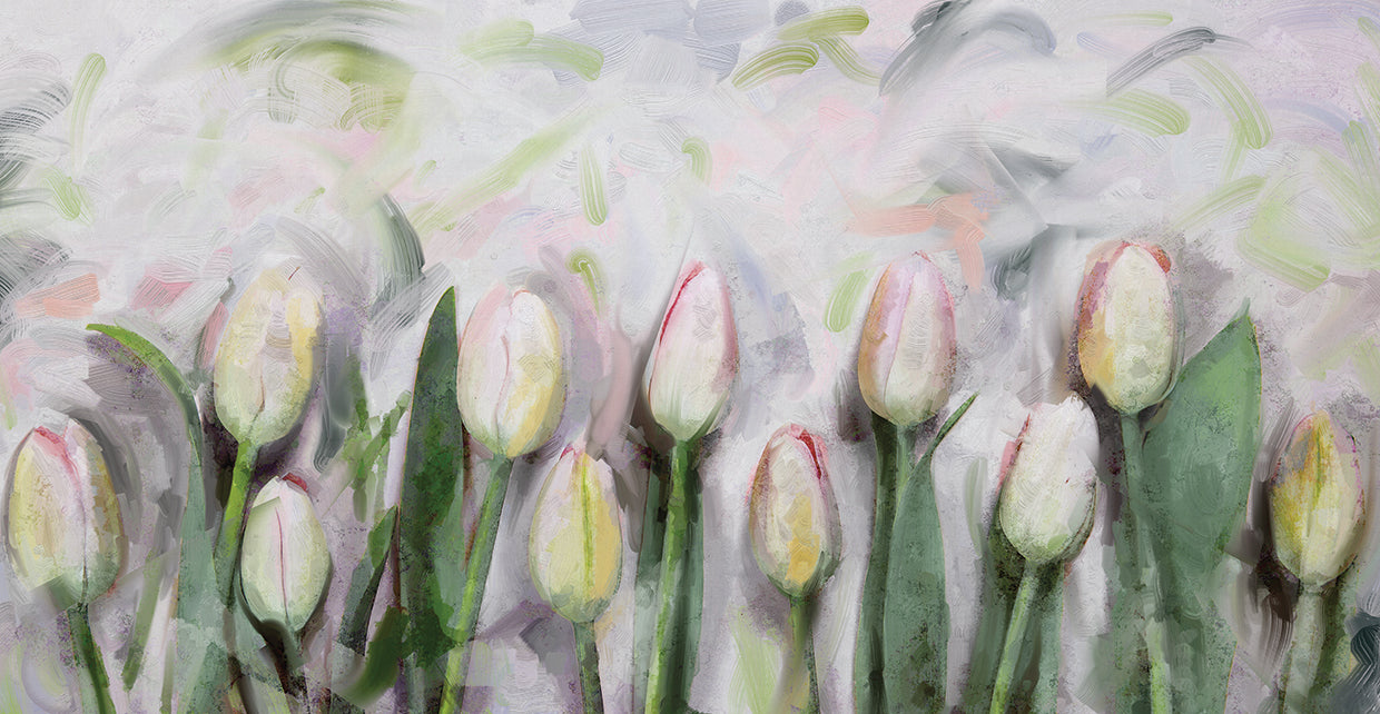 Les Tulipes