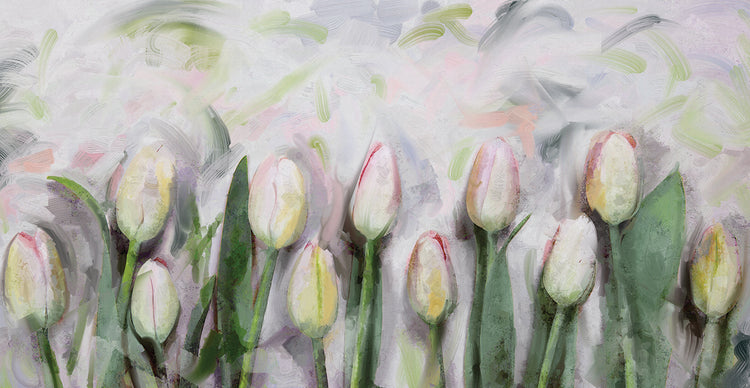 Les Tulipes