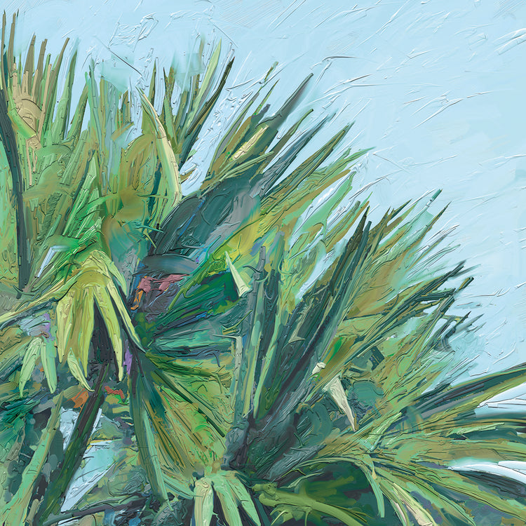 Painted Palm