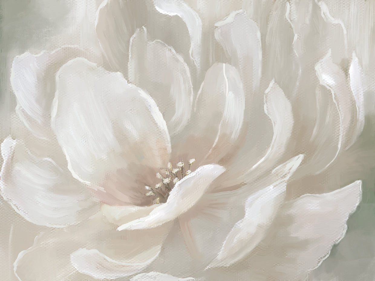 Peach Perfect by Nan - lowest price wall art work on large canvas & framed canvas prints