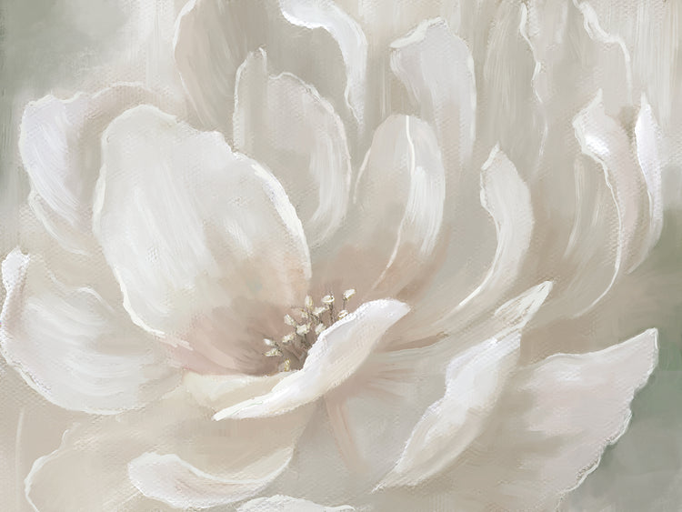 Peach Perfect by Nan - lowest price wall art work on large canvas & framed canvas prints