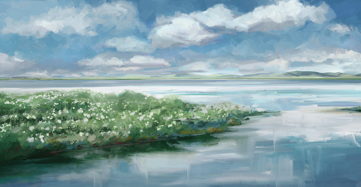 Summer Inlet
