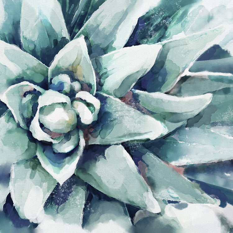 Watercolor Succulent Bloom Square Blue