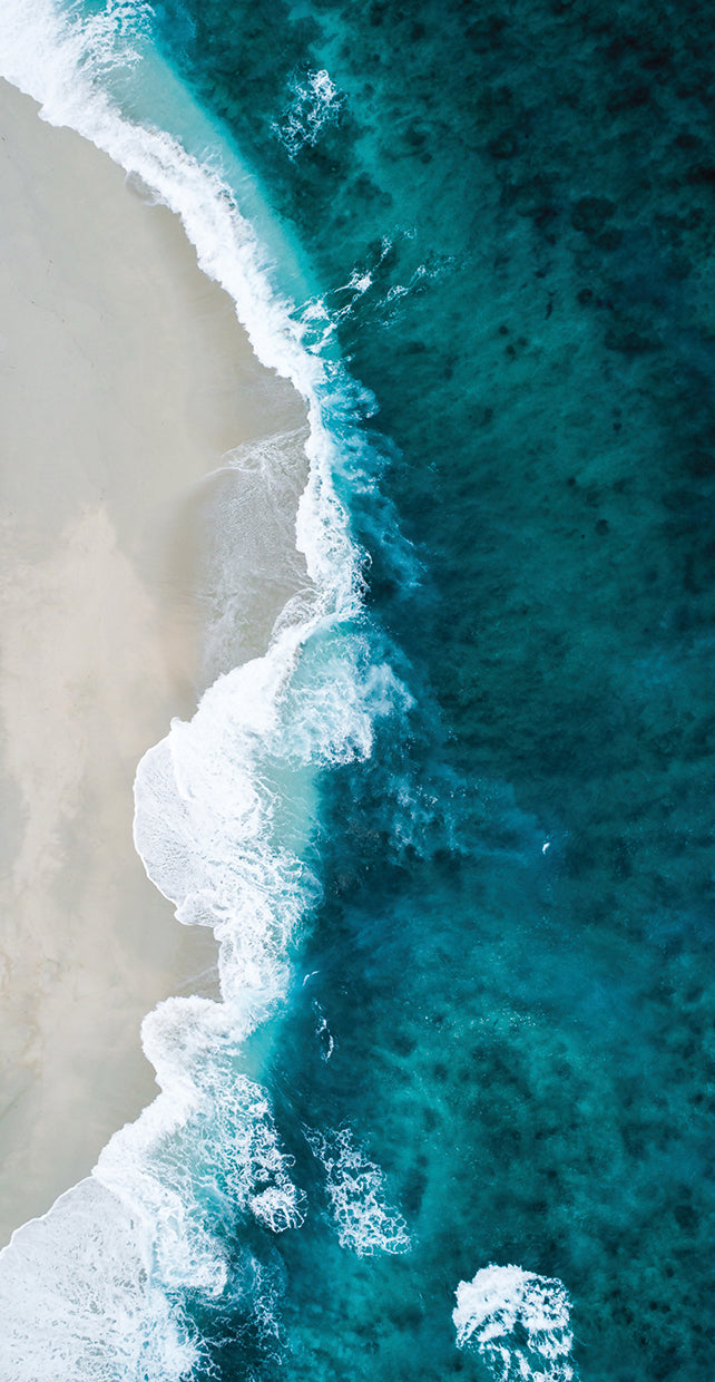 high-tide-shifaaz-shamoon